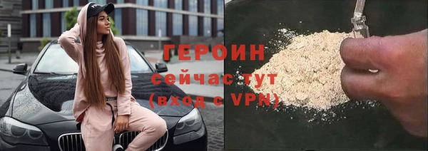 шишки Арсеньев