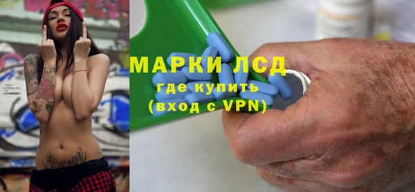 шишки Арсеньев