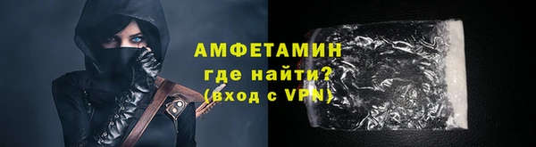 шишки Арсеньев