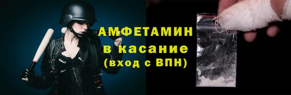шишки Арсеньев