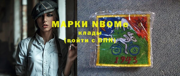 шишки Арсеньев
