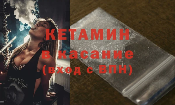 шишки Арсеньев